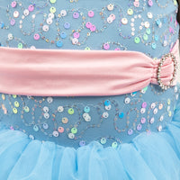 Bubblegum Fancy